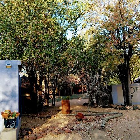 Off Beat Safaris Bush Lodge 호에드스프뤼트 외부 사진