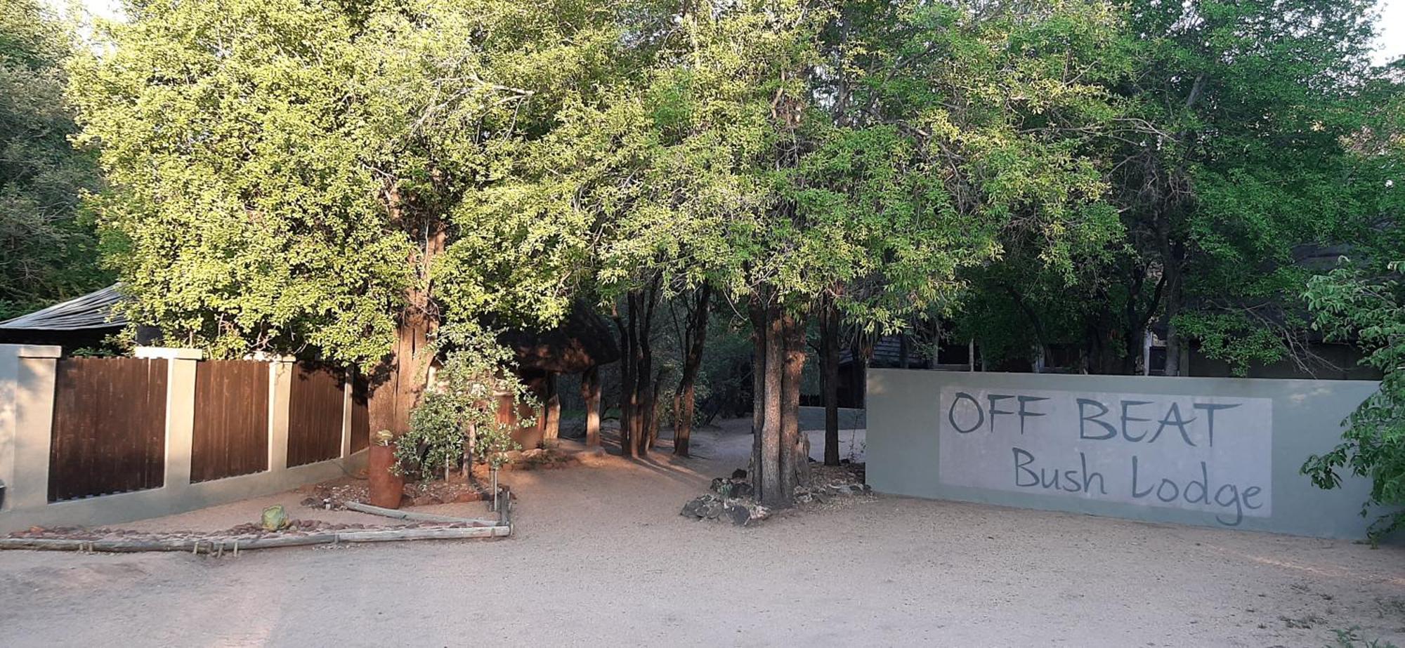 Off Beat Safaris Bush Lodge 호에드스프뤼트 외부 사진