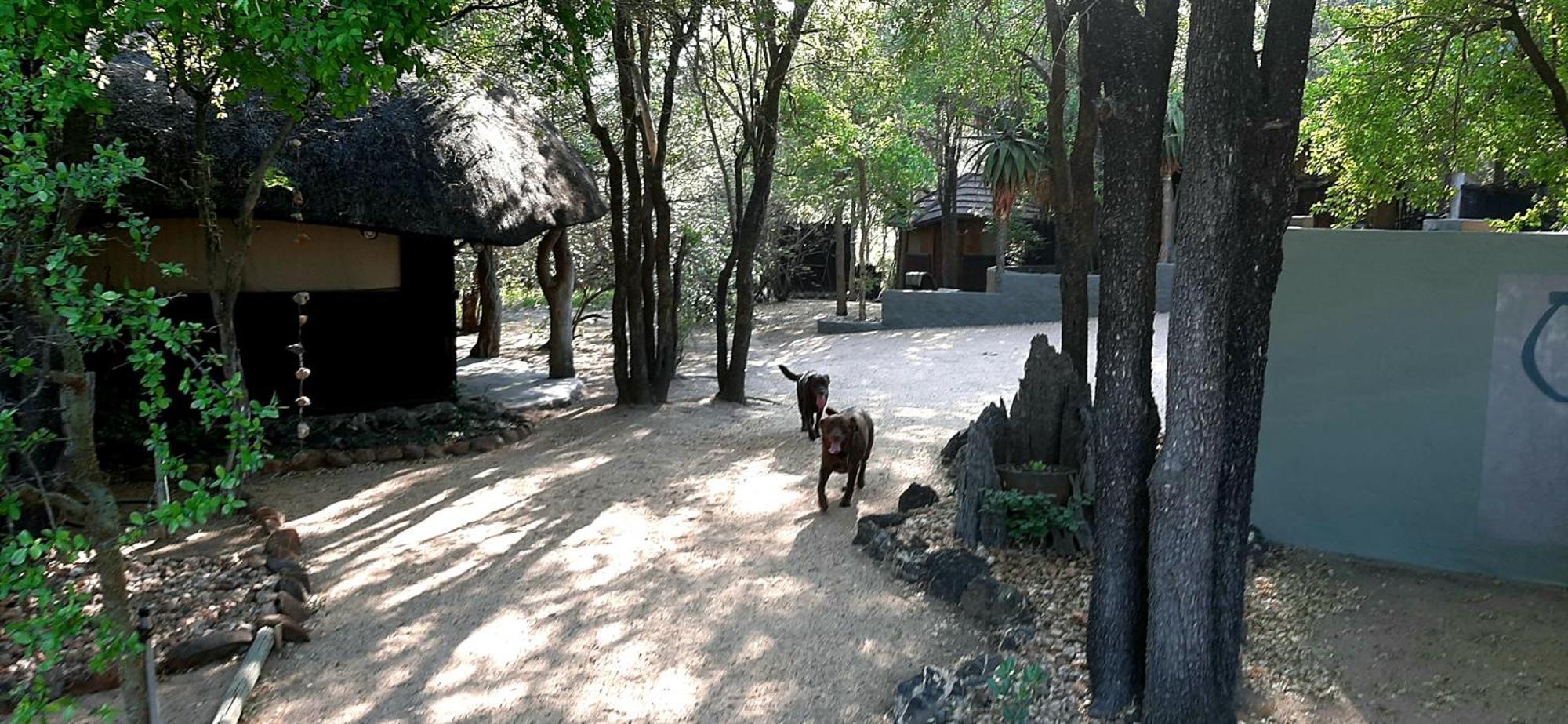 Off Beat Safaris Bush Lodge 호에드스프뤼트 외부 사진