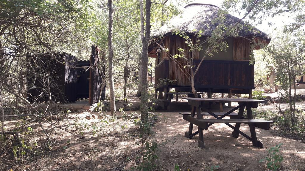 Off Beat Safaris Bush Lodge 호에드스프뤼트 외부 사진