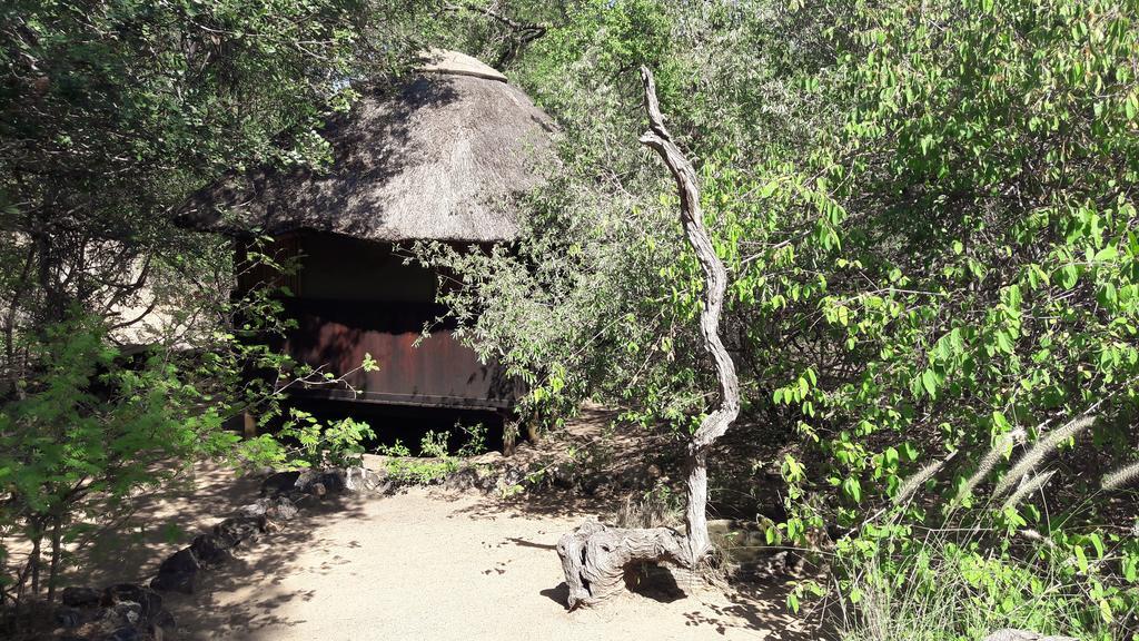 Off Beat Safaris Bush Lodge 호에드스프뤼트 외부 사진
