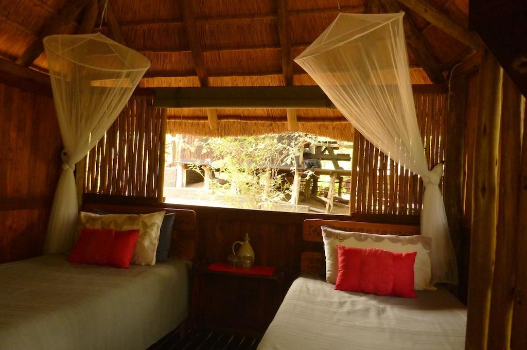 Off Beat Safaris Bush Lodge 호에드스프뤼트 객실 사진