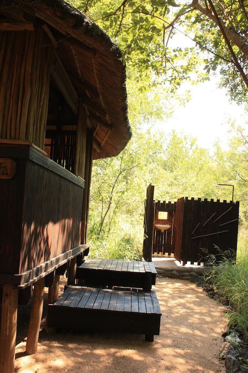 Off Beat Safaris Bush Lodge 호에드스프뤼트 객실 사진