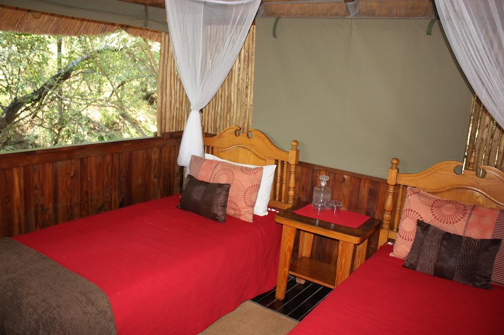 Off Beat Safaris Bush Lodge 호에드스프뤼트 객실 사진