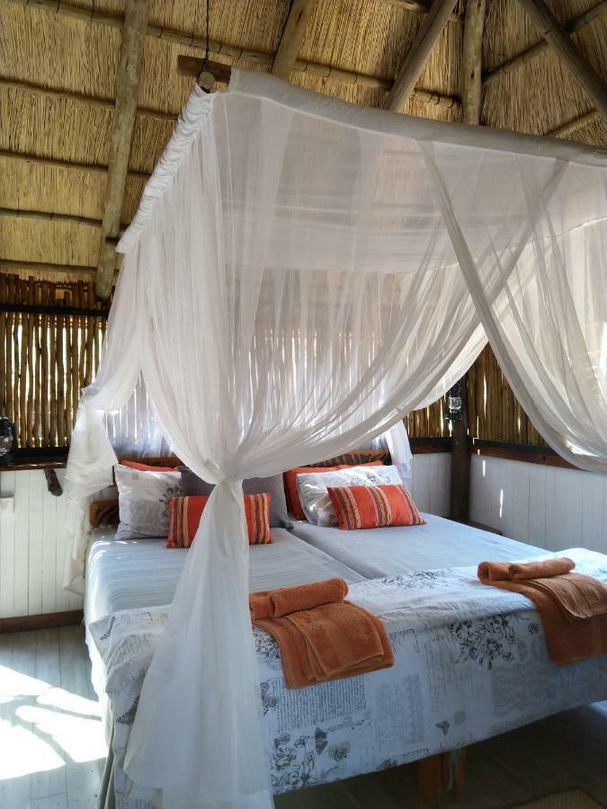 Off Beat Safaris Bush Lodge 호에드스프뤼트 외부 사진