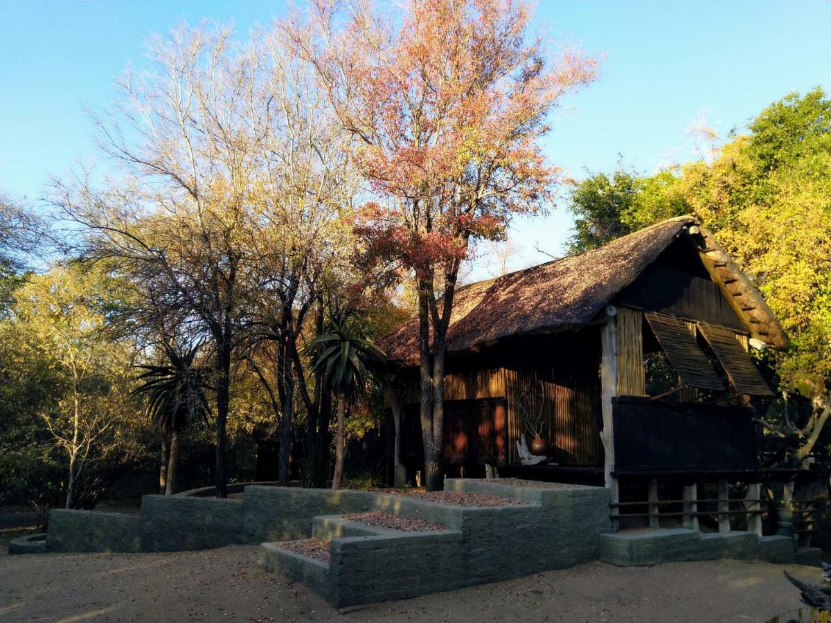 Off Beat Safaris Bush Lodge 호에드스프뤼트 외부 사진