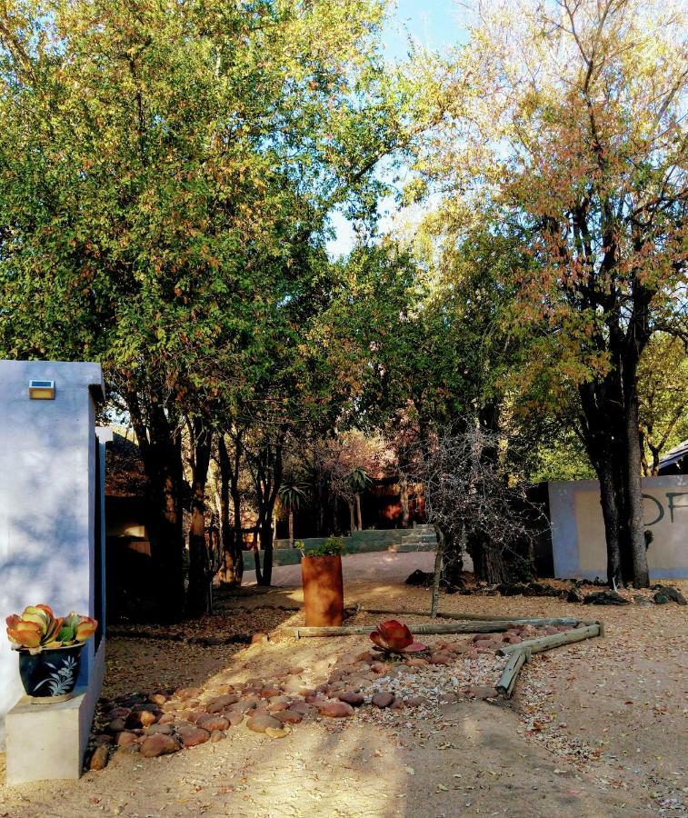 Off Beat Safaris Bush Lodge 호에드스프뤼트 외부 사진